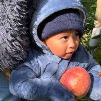 Baby with an apple
